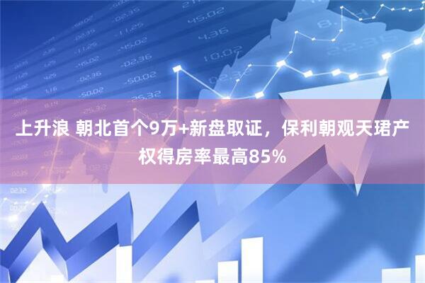 上升浪 朝北首个9万+新盘取证，保利朝观天珺产权得房率最高85%