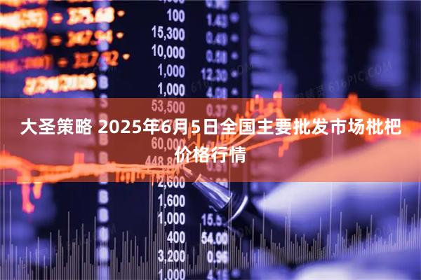 大圣策略 2025年6月5日全国主要批发市场枇杷价格行情